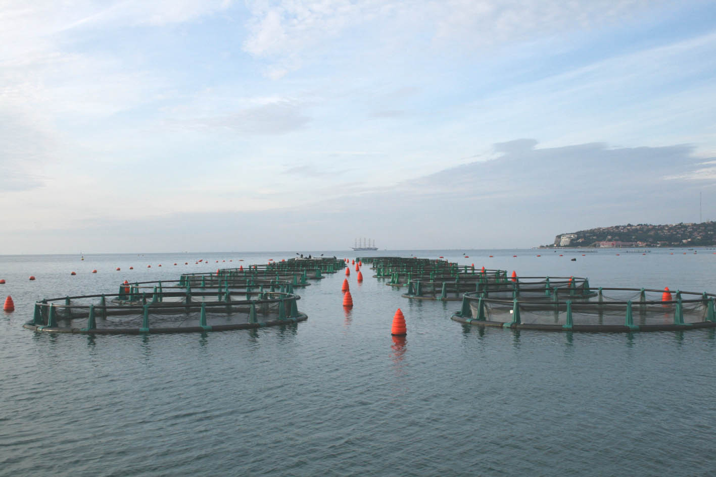 斯洛文尼亚海岸外的现代海水养鱼场。