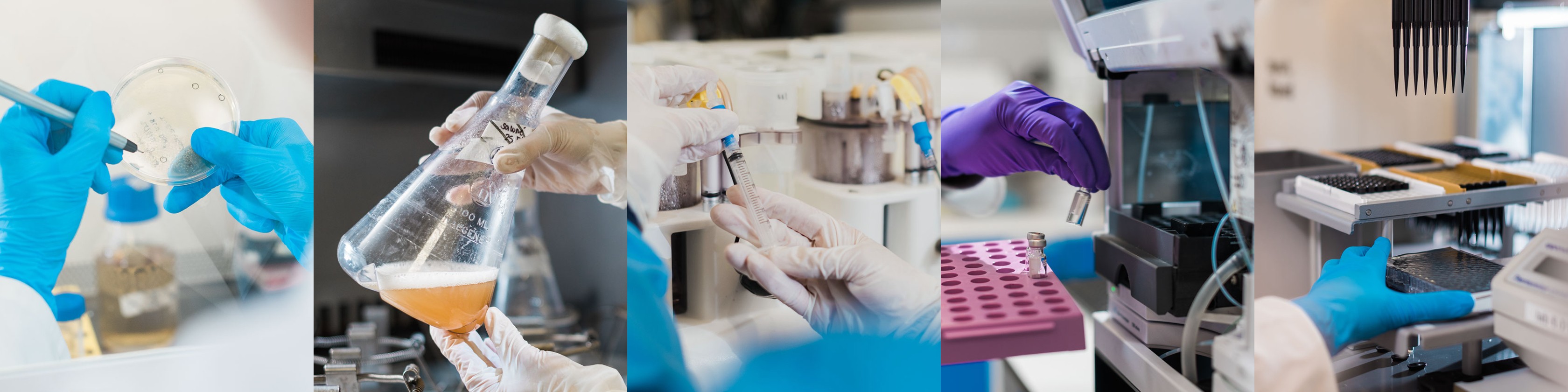 The Vax-Hub project has worked on improving and optimising existing manufacturing processes to change the way vaccines are manufactured, stabilised and stored. © Vax-Hub